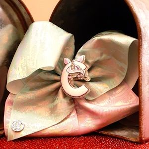 Selling Lots of Jojo Siwa bows just like this one.